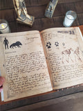 Myths Monsters and Cryptids book, Leather monster hunters journal