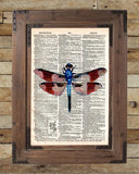 Dragonfly art, illustration 1800's,  dictionary page art -  - 2