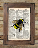 Bumblebee insect drawing, Bee art print,  dictionary page book art print -  - 2