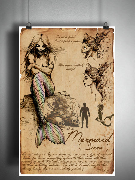 Mermaid cryptid art, bestiary cryptozoology science journal art, monsters and folklore