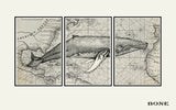 Whale art print, Nautical decor, map art, world map wall art, whale art Tryptich