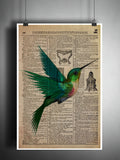 Hummingbird art print, bird art, childrens art, vintage dictionary print