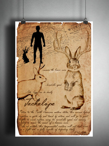 Jackalope cryptid art, bestiary cryptozoology science journal art, monsters and folklore