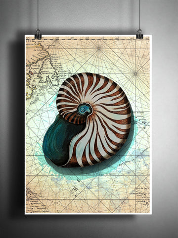 Nautilus splatter art print, watercolor splatter sea shell art, beach decor, world map art