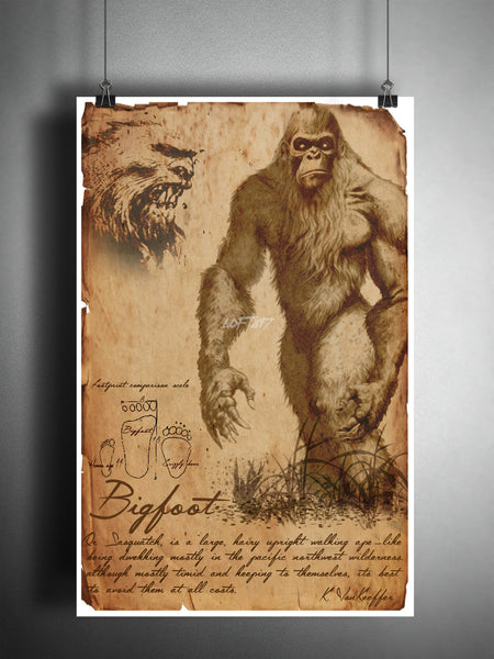 Bigfoot cryptid art, bestiary cryptozoology science journal art, monsters and folklore