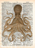Octopus wall art, vintage octopus drawing, dictionary print, book page art -  - 5