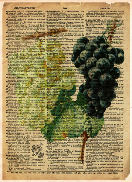 Grape art, red and white grapes, old botanical illustration, nature artwork print on dictionary page