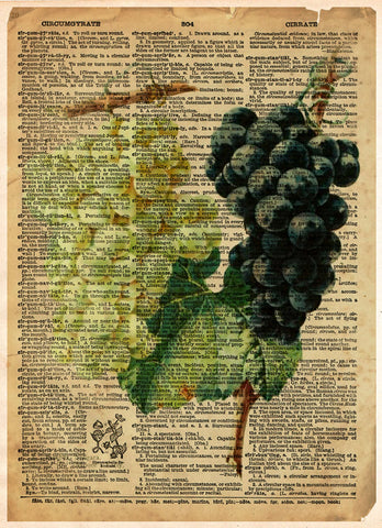Grape art, red and white grapes, old botanical illustration, nature artwork print on dictionary page