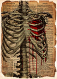Creepy skeleton ribcage with bloody heart, gothic love artwork