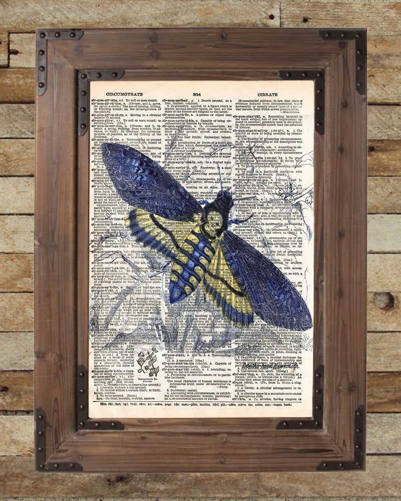 Dictionary Art Insect Insect illustration, death moth, butterfly art, dictionary art print ...
