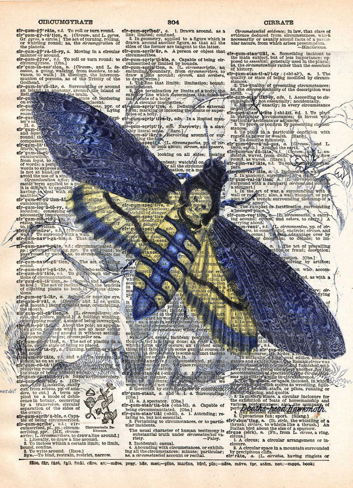 Dictionary Art Insect Insect illustration, death moth, butterfly art, dictionary art print ...