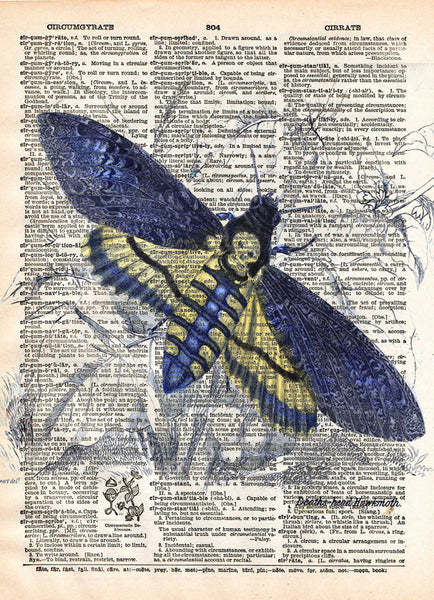 Insect illustration, death moth, butterfly art, dictionary art print -  - 1