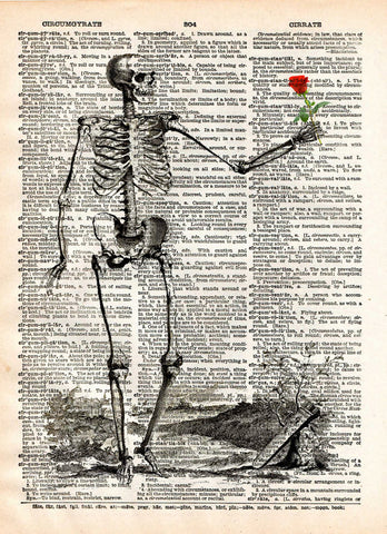 Skeleton with rose, vintage anatomy, vintage skelton illustration -  - 1