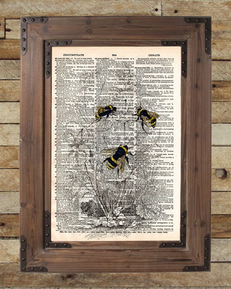 Bumble Bee available as Framed Prints, Photos, Wall Art and Photo Gifts