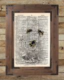Bumblebee illustration,1800's bee wall art,  dictionary page book art print -  - 2