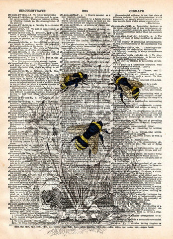 Bumblebee illustration,1800's bee wall art,  dictionary page book art print -  - 1