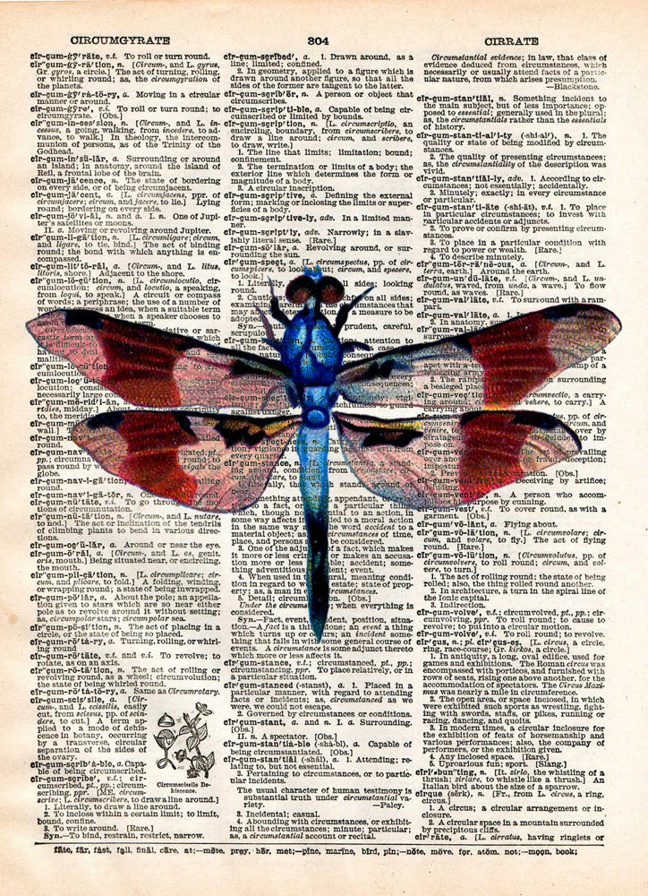 Dragonfly art, illustration 1800's, dictionary page art