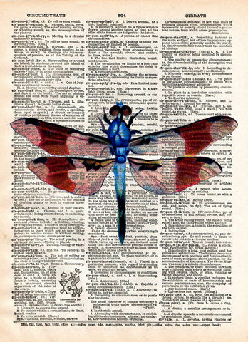 Dragonfly art, illustration 1800's,  dictionary page art -  - 1