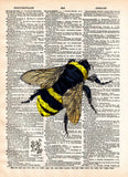 Bumblebee insect drawing, Bee art print,  dictionary page book art print -  - 1