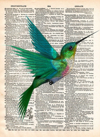 Hummingbird art print, bird art, childrens art, vintage dictionary print -  - 1